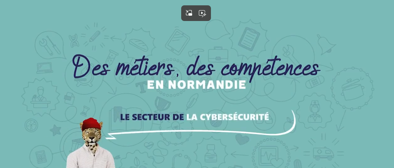 Le secteur de la cybersécurité