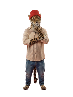 LéoBoost