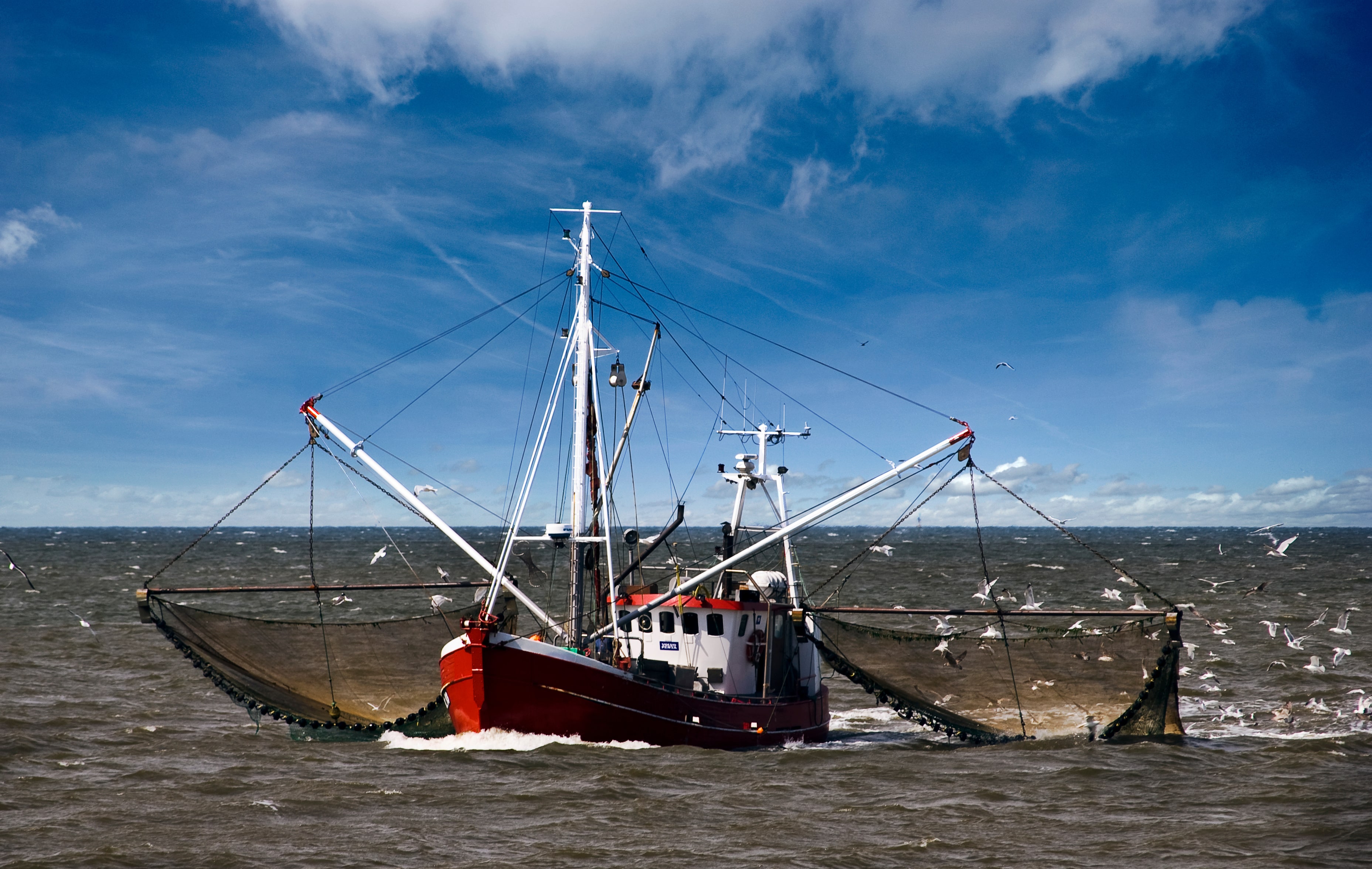 Bateau