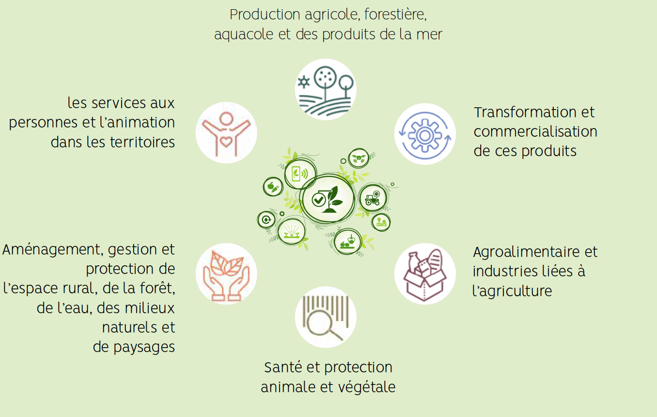 Les 6 grands secteurs des métiers du vivant