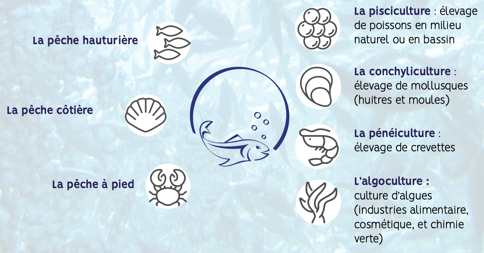 Les secteurs de la filière pêche et de l'aquaculture