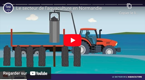 Animation : le secteur de l'aquaculture
