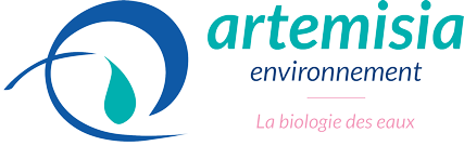 ARTEMISIA ENVIRONNEMENT