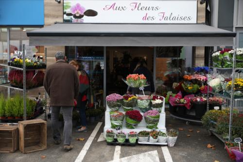 AUX FLEURS DES FALAISES