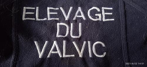 Élevage du valvic