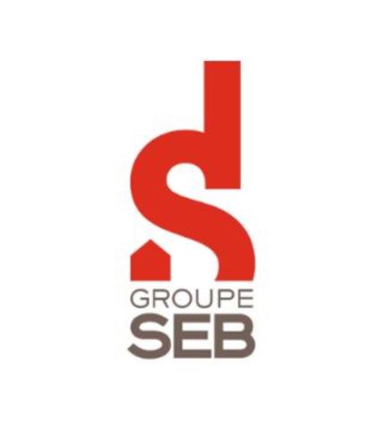 GROUPE SEB MOULINEX G S M
