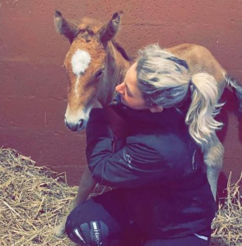 HARAS D'ELLA