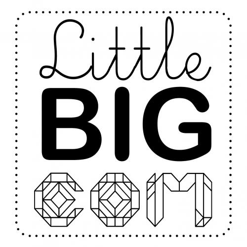 LITTLE BIG COM