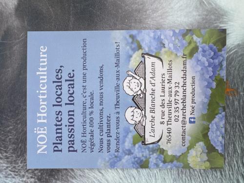 NOE HORTICULTURE