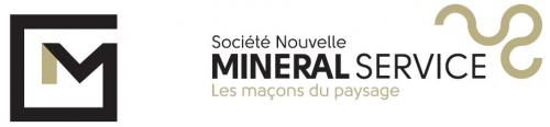 SOCIETE NOUVELLE MINERAL SERVICE