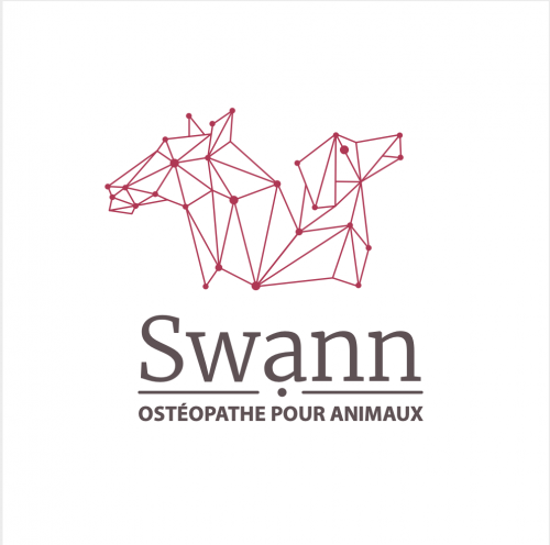 Swann Ostéopathe pour animaux