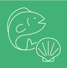 Pêche et aquaculture